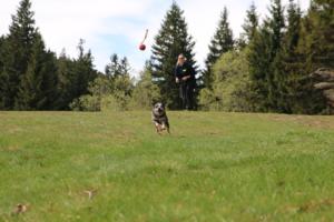 2018 Ausbildungswoche Arber